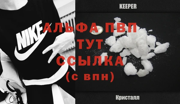 ПСИЛОЦИБИНОВЫЕ ГРИБЫ Бородино