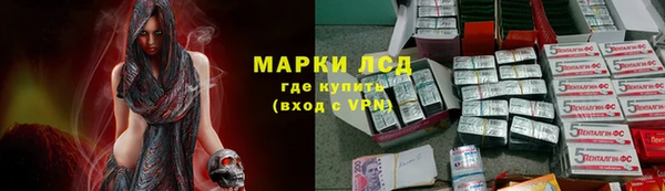 соль ск Снежногорск