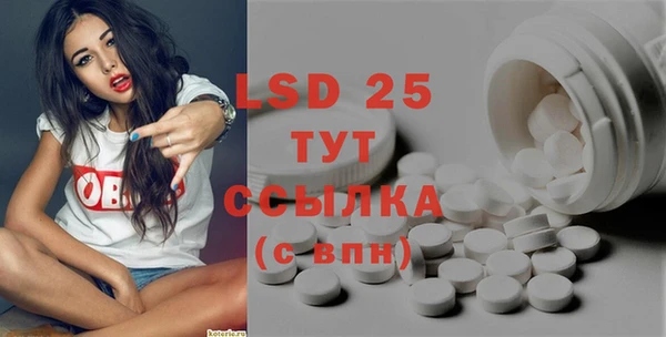 ПСИЛОЦИБИНОВЫЕ ГРИБЫ Бородино