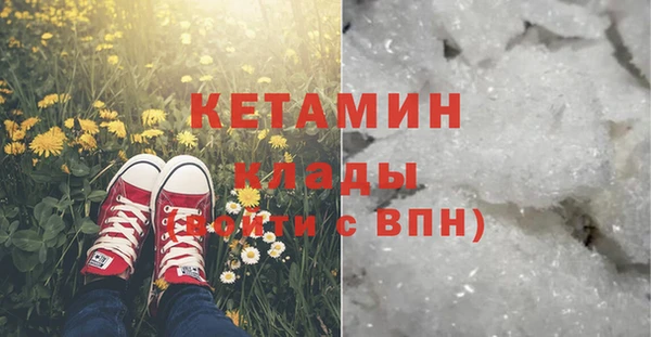 ПСИЛОЦИБИНОВЫЕ ГРИБЫ Бородино