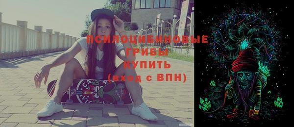 а пвп мука Бугульма