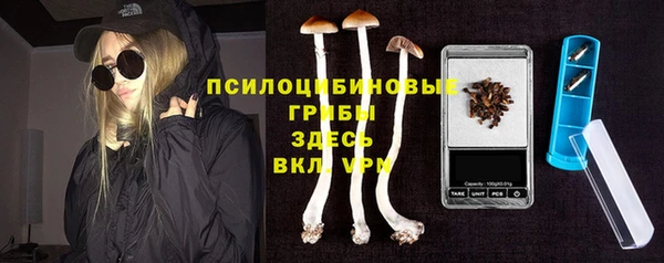 соль ск Снежногорск